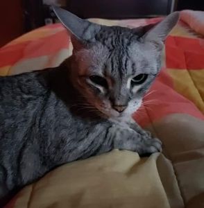 Meet your Posher, Trisha